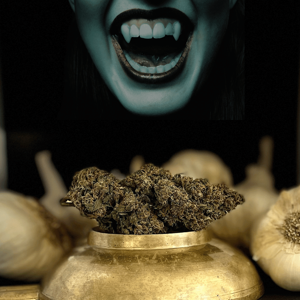 Delta 8 Flower - Garlic Breath - Image 6