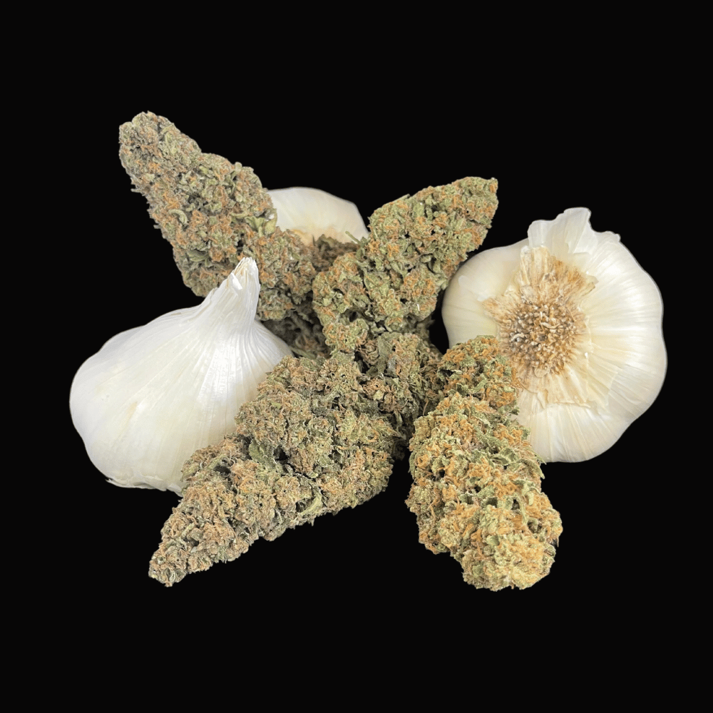 Delta 8 Flower - Garlic Breath - Image 5