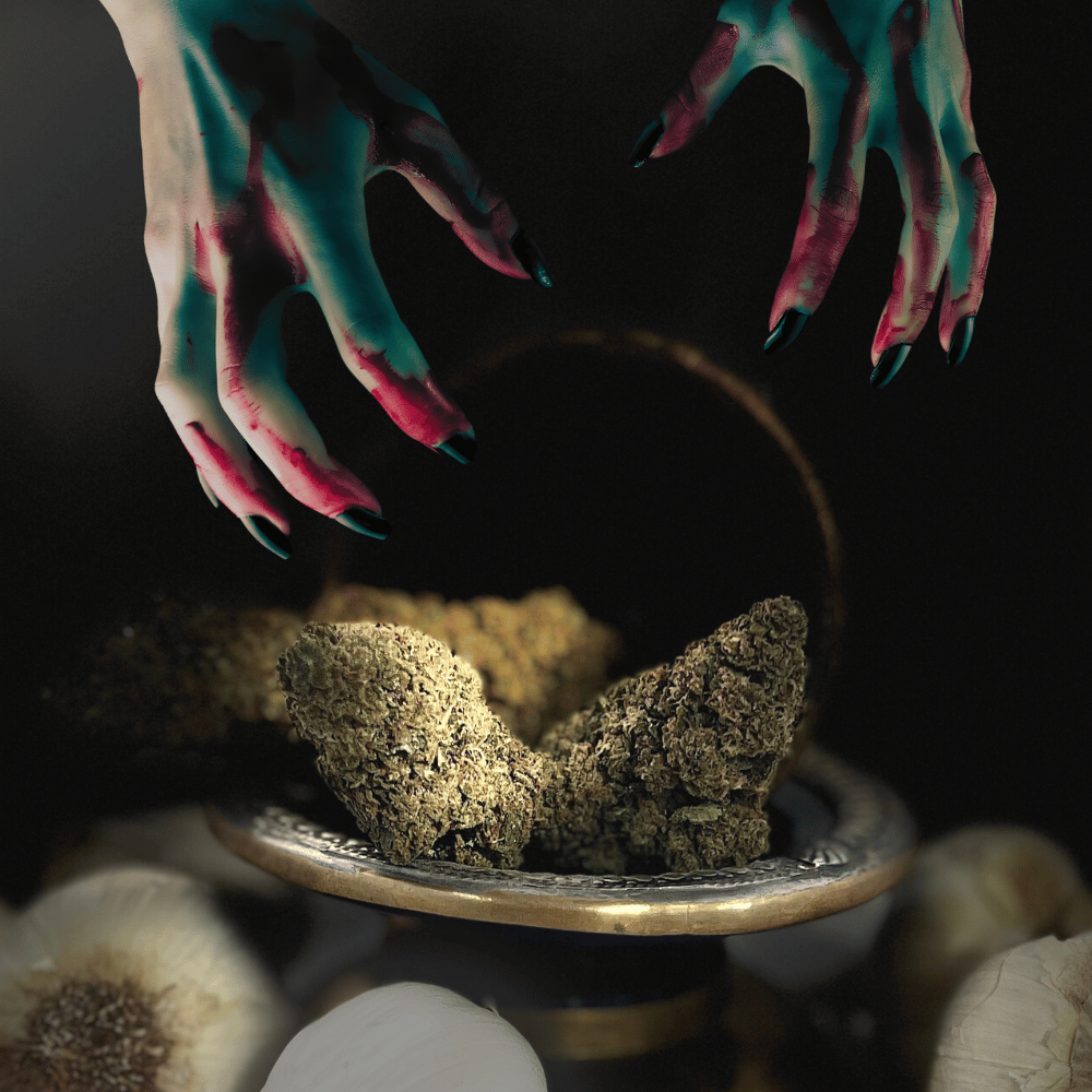 CBD Flower - Garlic Breath - Image 6